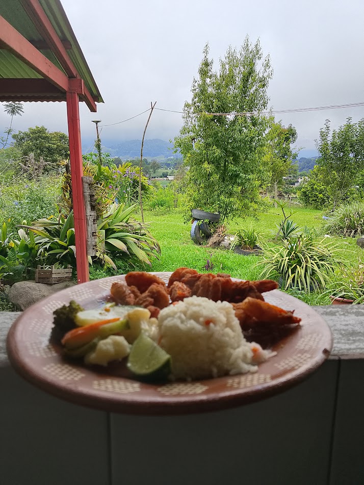 Platillo del restaurante frente al paisaje campestre
